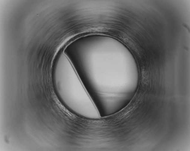 X0000101120784200806261044