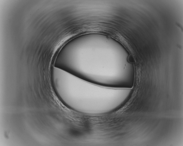 X0000101120787200806261044