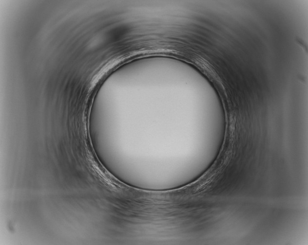 X0000101120789200806261044