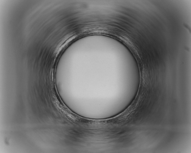 X0000101120790200806261044
