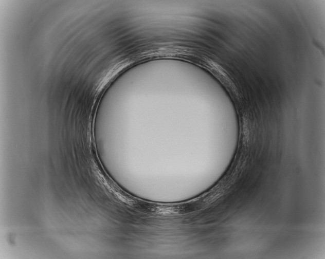 X0000101120794200806261044