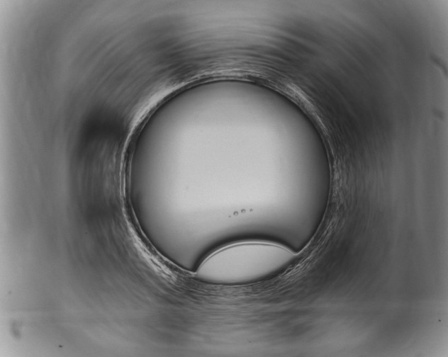 X0000101120795200806261044