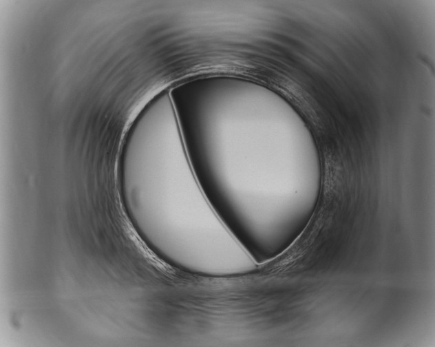 X0000101120796200806261044