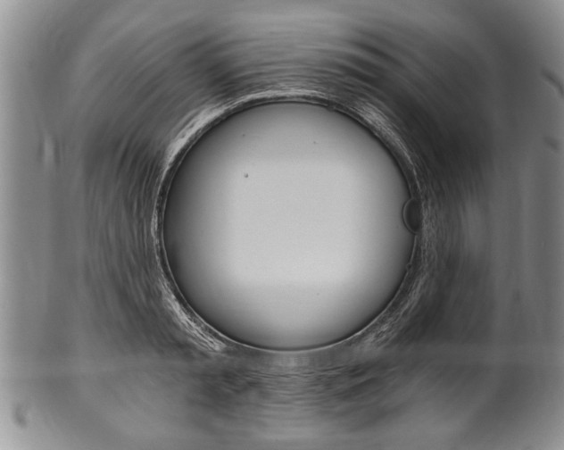 X0000101120797200806261044