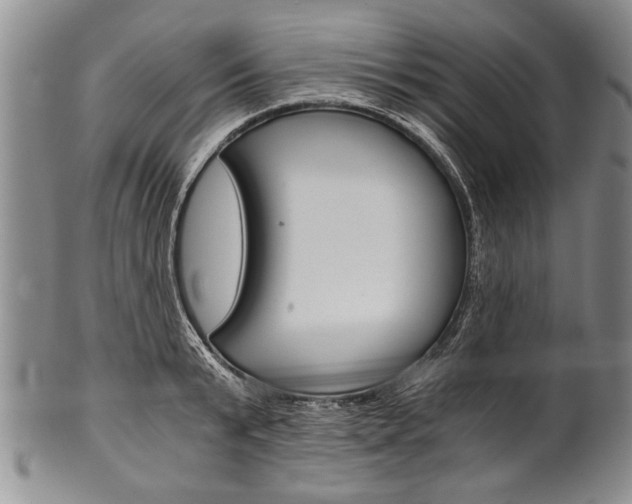 X0000101120799200806261044