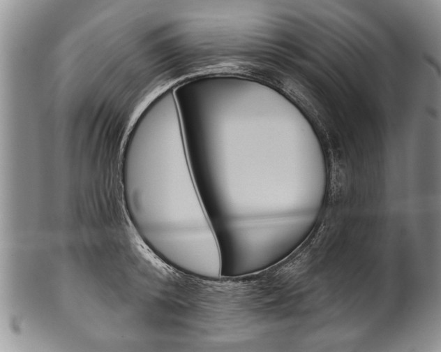 X0000101120800200806261044
