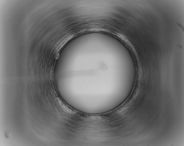 X0000101120801200806261044