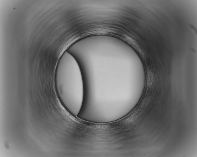 X0000101120802200806261044