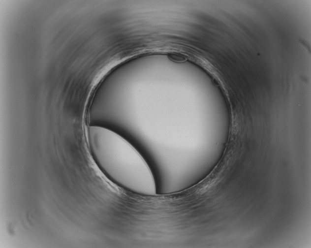 X0000101120803200806261044