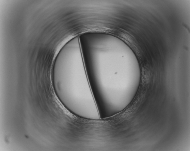 X0000101120804200806261044