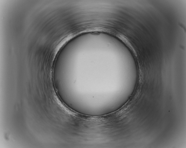 X0000101120805200806261044