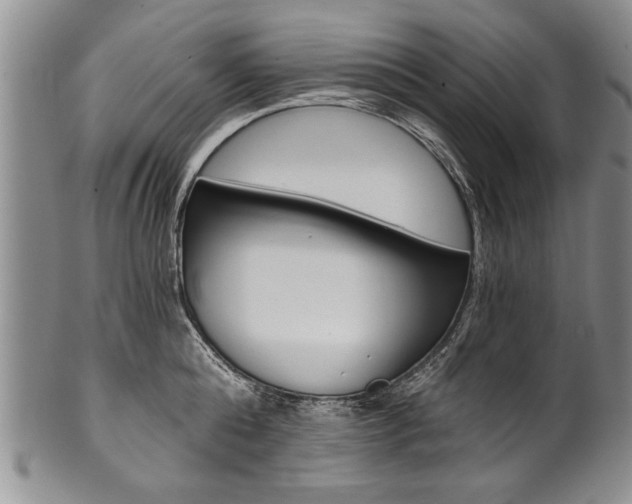X0000101120808200806261044