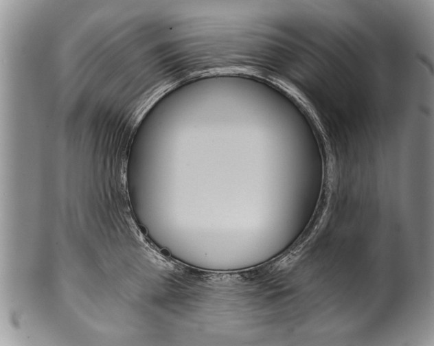 X0000101120809200806261044