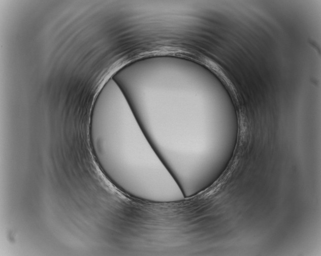 X0000101120810200806261044
