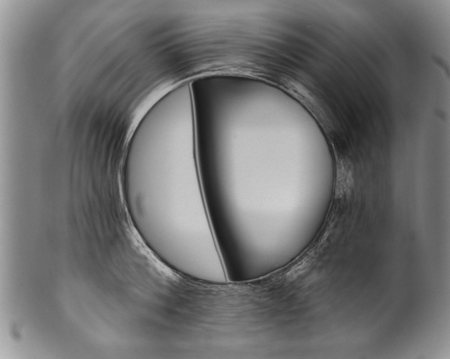 X0000101120812200806261044