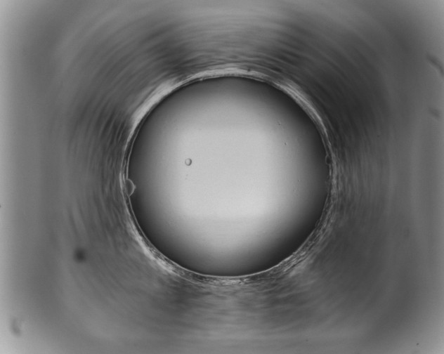 X0000101120813200806261044