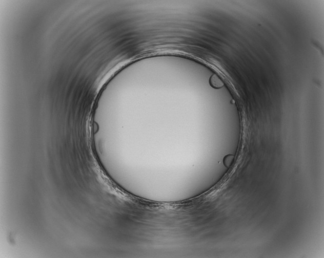 X0000101120814200806261044