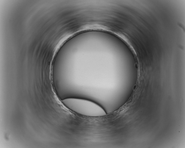 X0000101120815200806261044