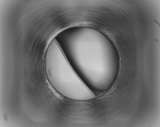 X0000101120816200806261044