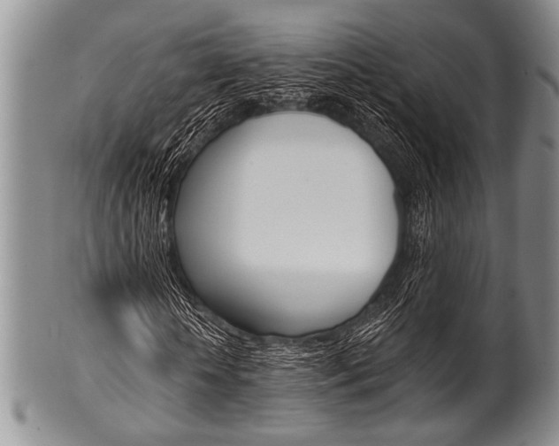 X0000101120818200806261043