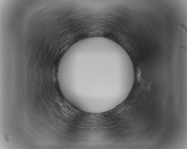 X0000101120819200806261043