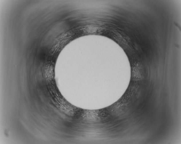 X0000101120820200806261043