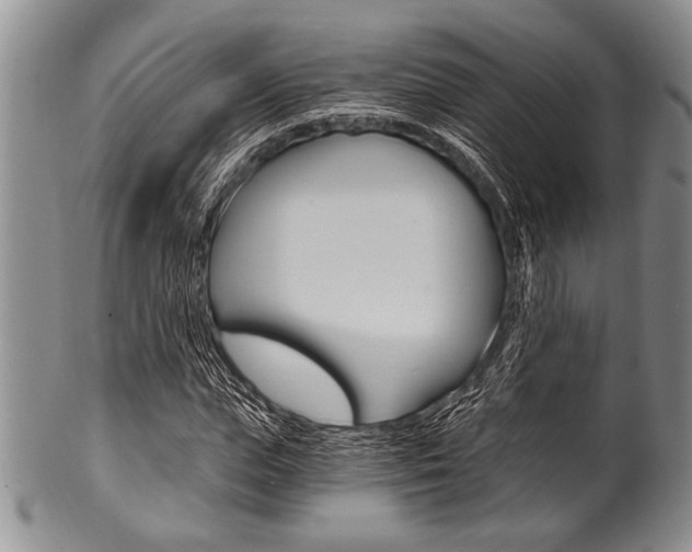 X0000101120823200806261043