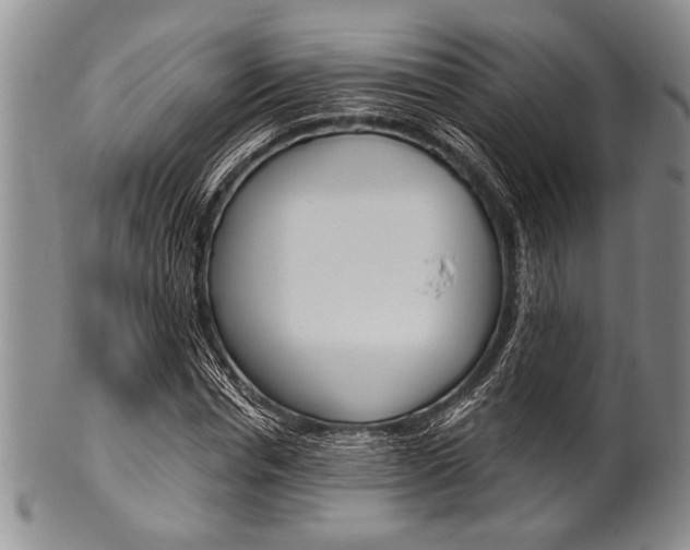 X0000101120826200806261043