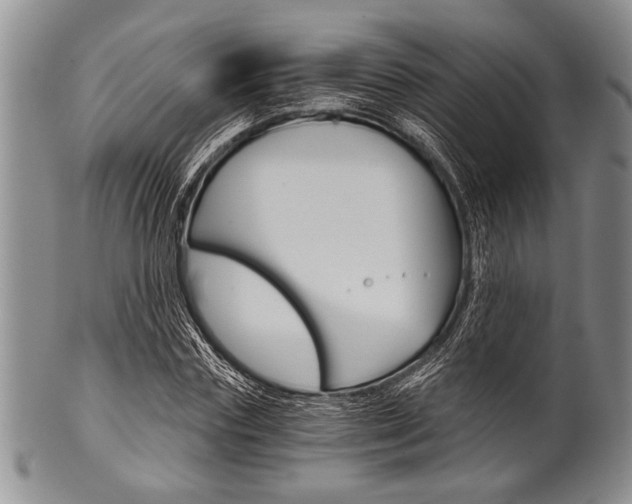 X0000101120827200806261043