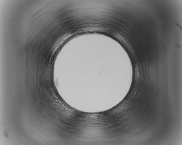 X0000101120828200806261043