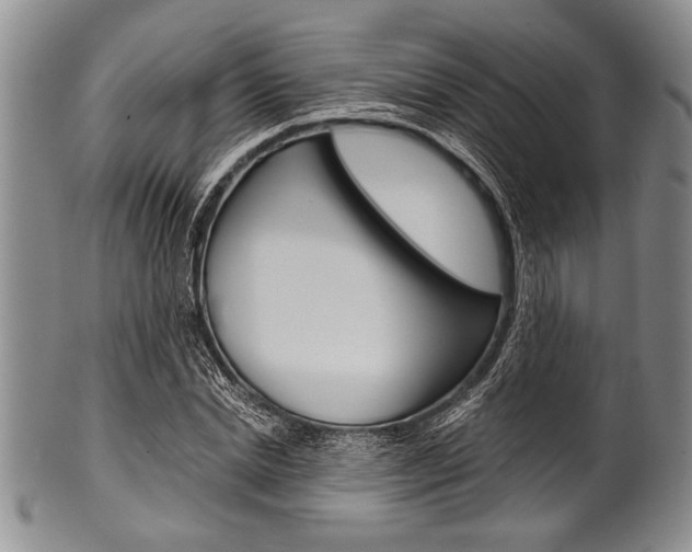 X0000101120830200806261043