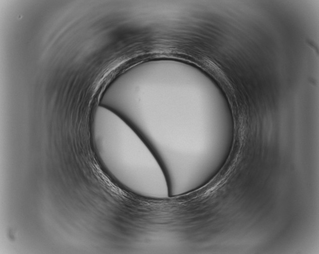 X0000101120831200806261043