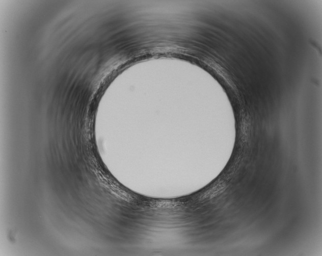 X0000101120832200806261043