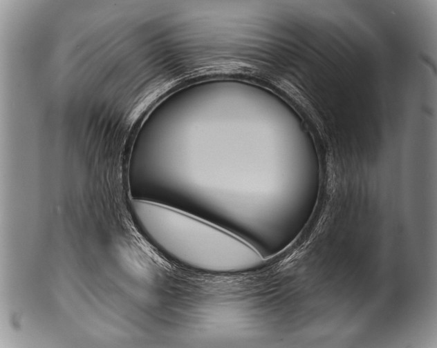 X0000101120834200806261043