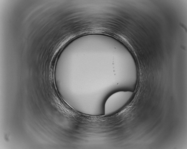 X0000101120835200806261043