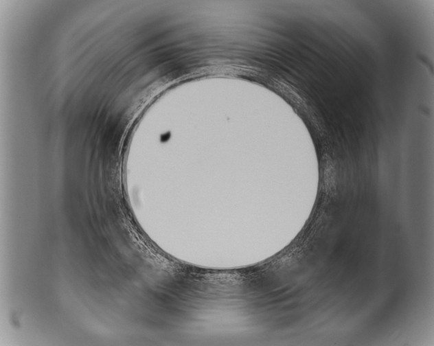X0000101120836200806261043