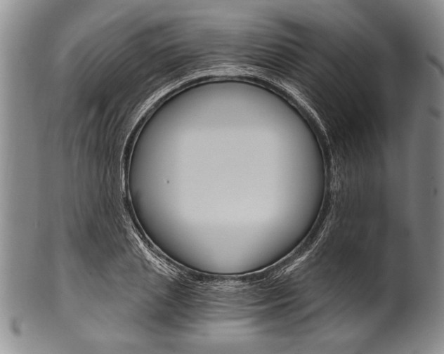 X0000101120837200806261043
