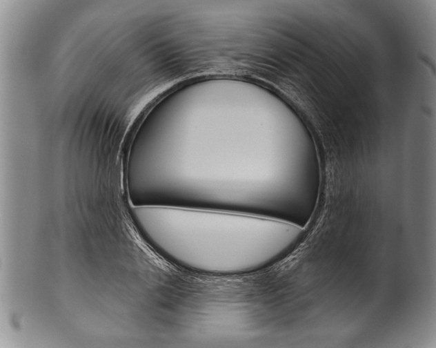 X0000101120838200806261043