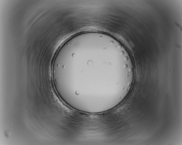 X0000101120839200806261043