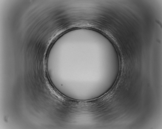 X0000101120840200806261043