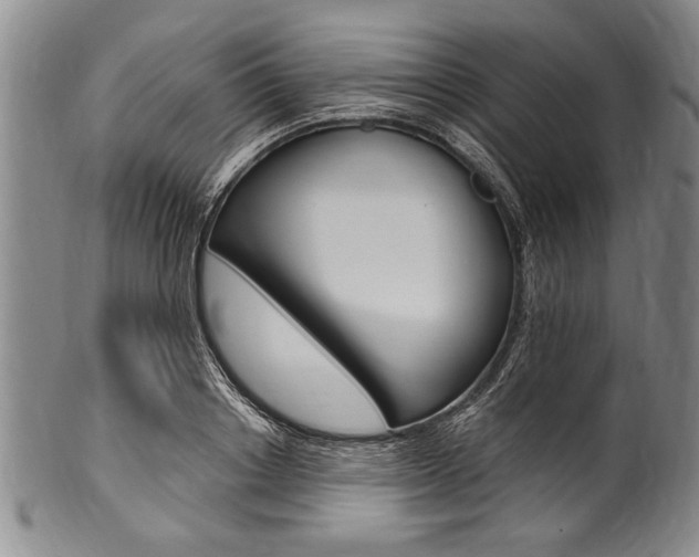 X0000101120842200806261043