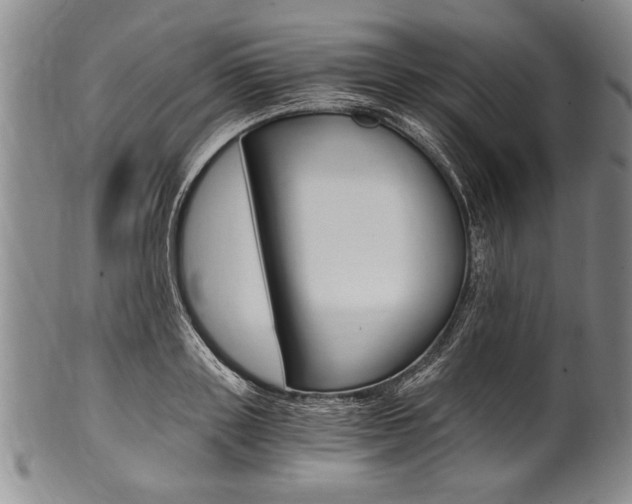 X0000101120843200806261043