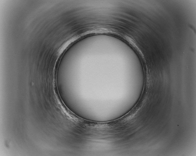X0000101120845200806261043