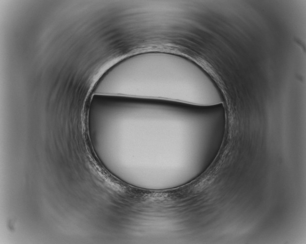 X0000101120846200806261043
