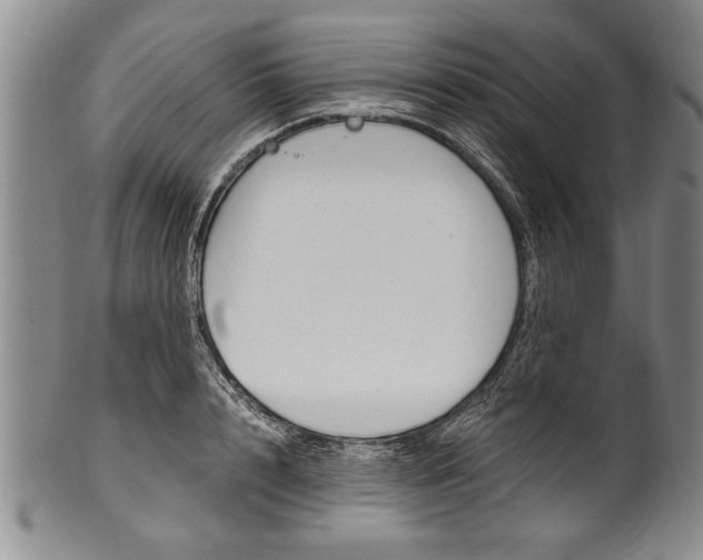 X0000101120848200806261043