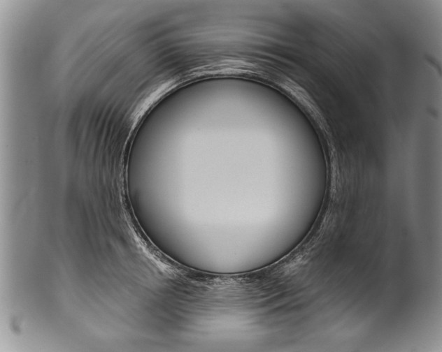 X0000101120850200806261043