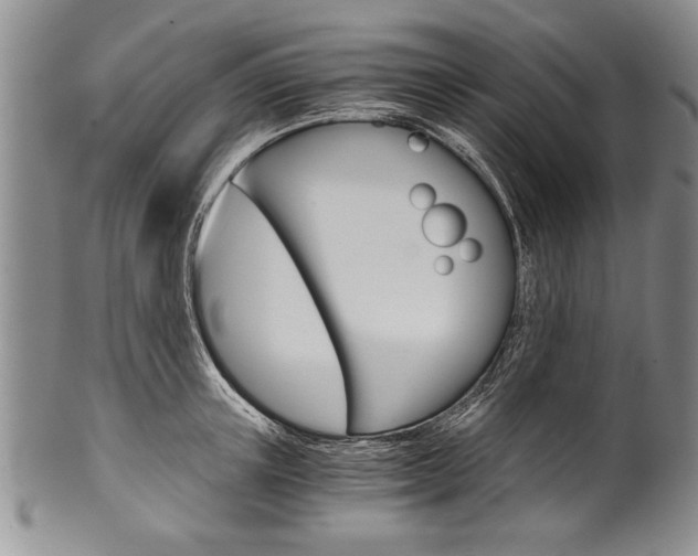 X0000101120851200806261043