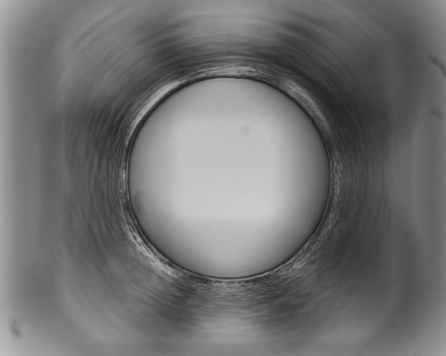X0000101120852200806261044