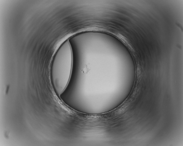 X0000101120854200806261044