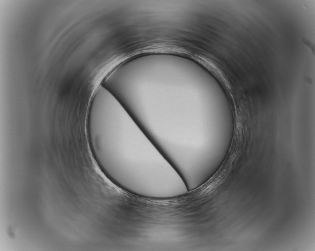 X0000101120855200806261044